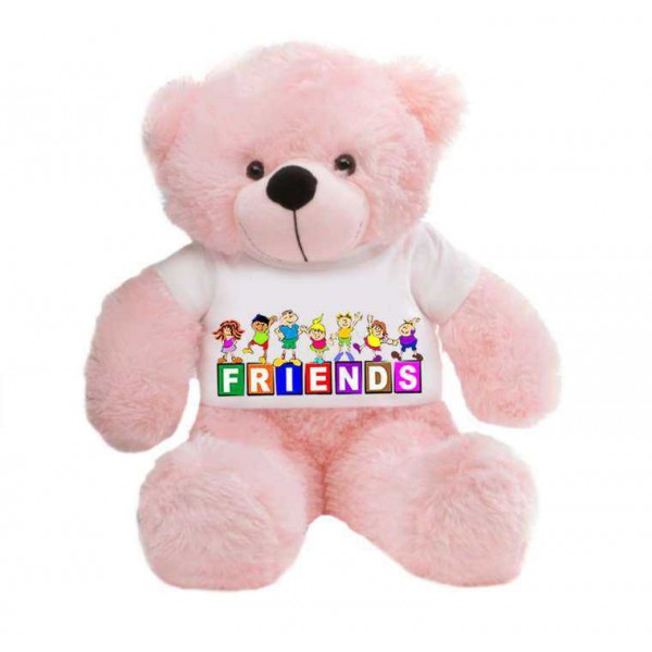 Pink 2 feet Big Teddy Bear wearing a FRIENDS T-shirt